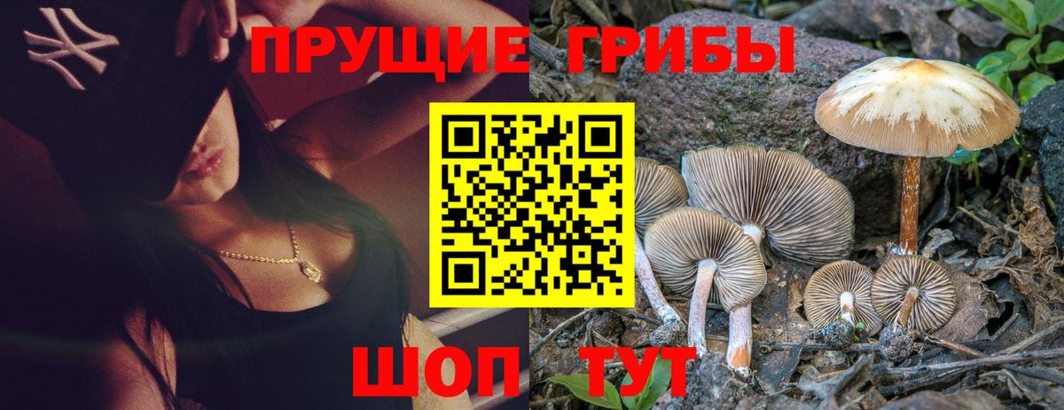 Псилоцибиновые грибы MAGIC MUSHROOMS Гуково
